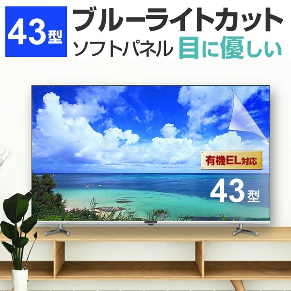 液晶テレビ保護パネル 43型 ブルーライトカット テレビ保護パネル 43インチ bravia ブラビ...