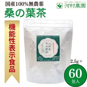 桑の葉茶 国産 無農薬 2.5g×60包 河村農園 水出し 桑茶 健康茶 ギャバ茶 桑の茶 九州産桑の葉100％ 化学肥料不使用 GABA 大容量