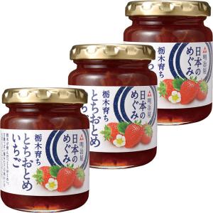 明治屋 日本のめぐみ 栃木とちおとめいちごジャム 155g 1セット（3個）