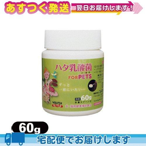 リニューアル!生菌数1.5倍UP※ ペット用食品 LCH ハタ乳酸菌 for PET 60g :cp...