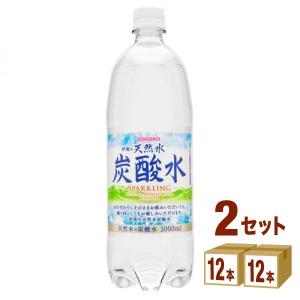 サンガリア 伊賀の天然水炭酸水ペット1L 1000ml 24本(12本×2ケース)