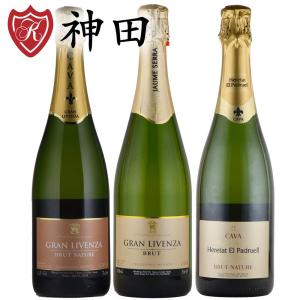 ハウメ・セラ 社 スパークリング ＣＡＶＡ ３本 セット カバ スペイン ブルット 辛口 ハロウィン