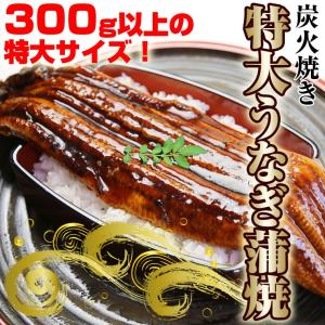 うなぎ 蒲焼き　1尾　中国産 約300g業務用 お試し　特大　ギフト　