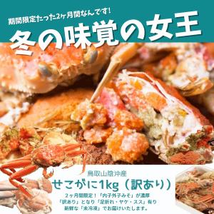 セコガニ せこがに 1kg前後（訳あり4-9枚）山陰沖産 親がに ご自宅用 セイコガニ 香箱かに 蟹 香箱カニ 雌かに せいこがに