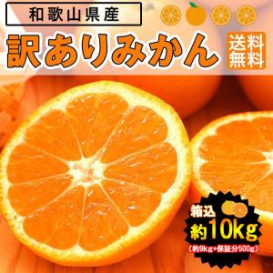 （予約）みかん 10kg（箱込約10kg）和歌山県産 訳あり・ご家庭用 送料無料（東北・北海道・沖縄県除く）（10月上旬頃から順次発送予定）