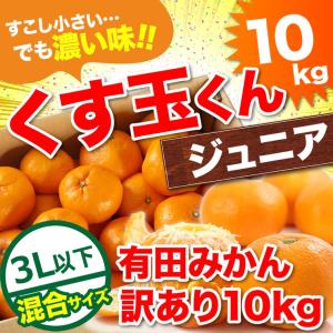 訳あり みかん 送料無料 10kg くす玉くんジュニア 直送 安い 有田 みかん 蜜柑 産地直送 自宅用 小粒 箱買い 糖度 10キロ 小さい 小さめ 和歌山県産 安い 甘い