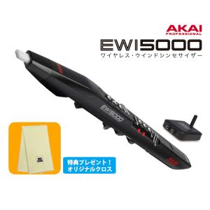 AKAI EWI 5000 ウインドシンセサイザー EWI5000J アカイ《オリジナルクロスプレゼント！》｜miki-shop