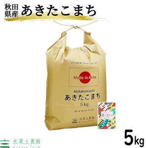 米 お米 米5kg あきたこまち 白米 精米 令和5年産 秋田県産 農家直送 古代米お試し袋付き