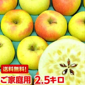 長野県産 ぐんま名月 ご家庭用2.5ｋｇ