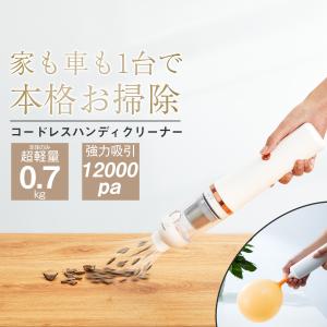 ハンディクリーナー 2024最新型 僅か450g 掃除機 スティック 超軽量 ミニ 13000Pa 強力吸引 吹き出し 車用 mini