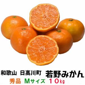 （予約）「若野みかん」１０ｋｇ・秀品・Mサイズ (味が濃く深みある甘さでリピーター続出)紀州和歌山県日高郡日高川町(旧川辺町)の若野産 温州ミカン