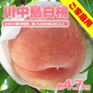 ふるさと納税 福島市  もも「川中島白桃」ご家庭用　約4.7kg【2024年発送】No.2350