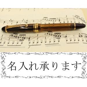 PILOT 万年筆 カスタム823 透明ブラウン FKK-3MRP-BN  ペン種:各種《F(細字)・M(中字)・B(太字)・S(シグネチャー)》名入れ