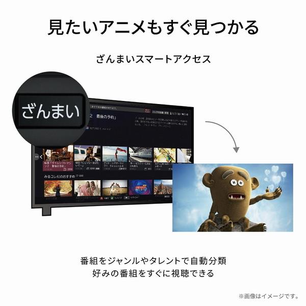 テレビ 50型 東芝 レグザ TOSHIBA REGZA 50インチ 50M550L 地上・BS・110度CSデジタル 4K内蔵｜aprice｜14