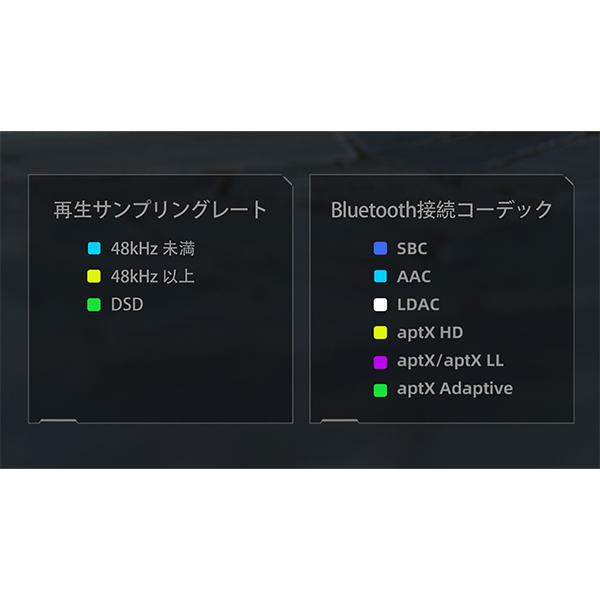 FIIO K9 AKM フィーオ ヘッドホンアンプ DAC内蔵 据え置き DACアンプ バランス接続対応 ワイヤレス Bluetooth接続対応 アプリ対応 送料無料 | FiiO | 14