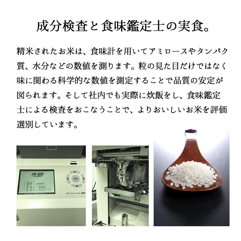 【在庫かぎり】米 5kg 新之助 お米 5キロ 令和5年産 新潟県産 しんのすけ 一等米 地元新潟から 安心の産地直送 白米 精米 5kgx1袋 送料無料 (沖縄のぞく) | 新之助 | 17