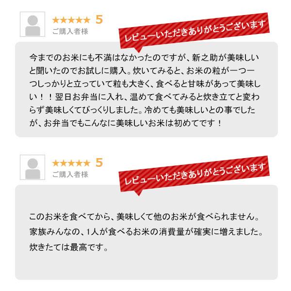 【在庫かぎり】米 5kg 新之助 お米 5キロ 令和5年産 新潟県産 しんのすけ 一等米 地元新潟から 安心の産地直送 白米 精米 5kgx1袋 送料無料 (沖縄のぞく) | 新之助 | 11