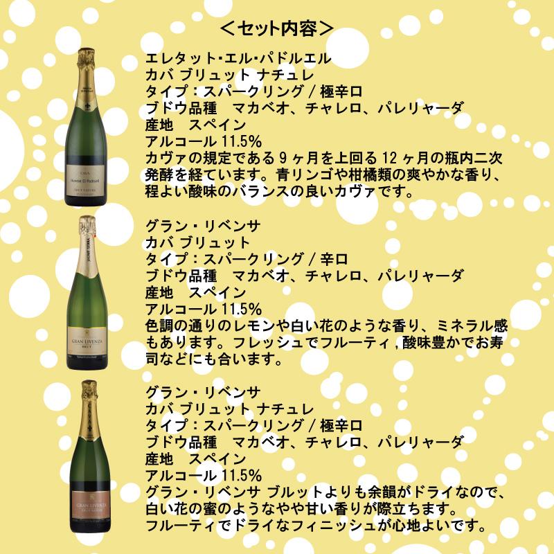 ハウメ・セラ 社 スパークリング ＣＡＶＡ ３本 セット カバ スペイン ブルット 辛口 敬老の日｜kandasyouten｜05