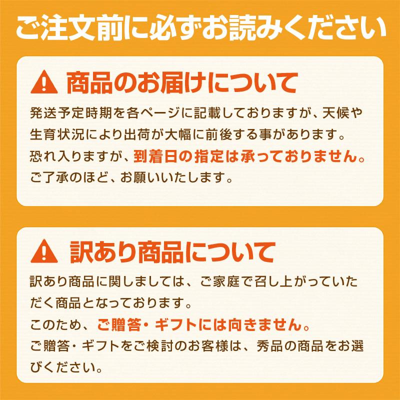 メロン 肥後グリーン 熊本産 秀品 2玉 3L 2024 食べ物 お供え プレゼント ギフト 高級 青肉 お土産 贈り物 贈答 常温便｜kumafuru｜09