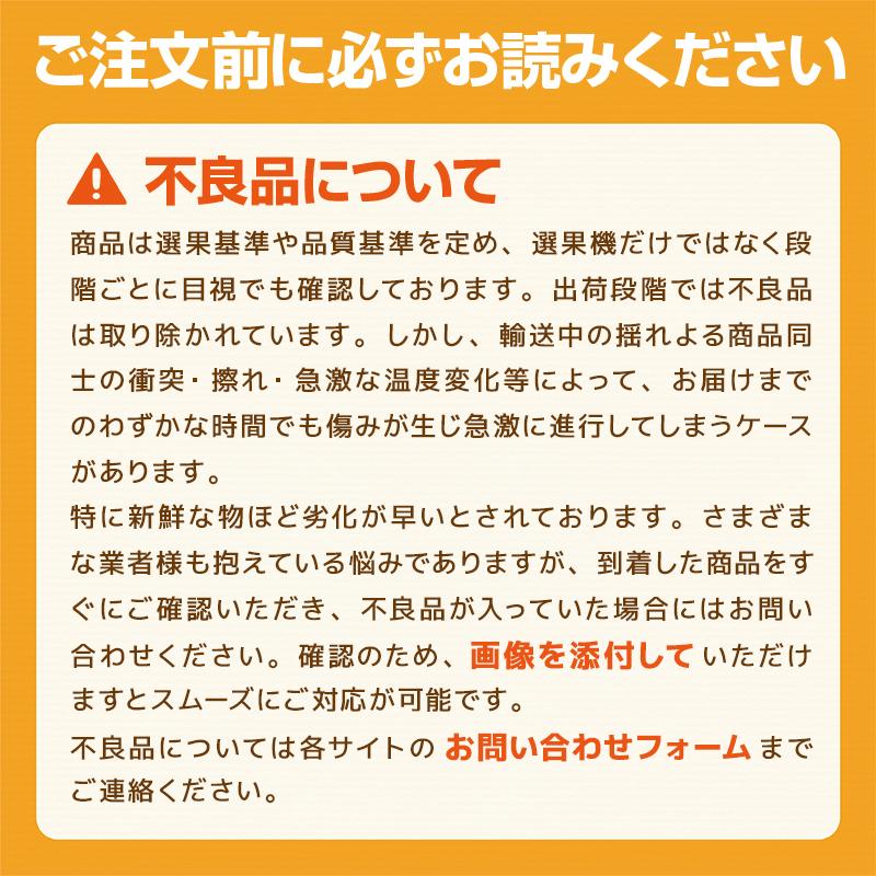 メロン 肥後グリーン 熊本産 秀品 2玉 3L 2024 食べ物 お供え プレゼント ギフト 高級 青肉 お土産 贈り物 贈答 常温便｜kumafuru｜11