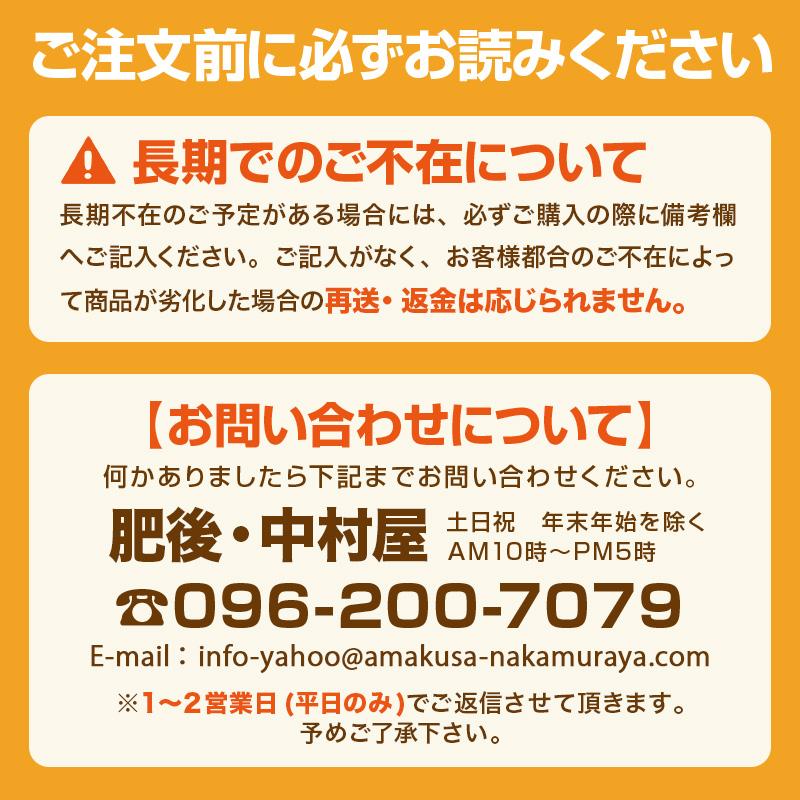 メロン 肥後グリーン 熊本産 秀品 2玉 3L 2024 食べ物 お供え プレゼント ギフト 高級 青肉 お土産 贈り物 贈答 常温便｜kumafuru｜12