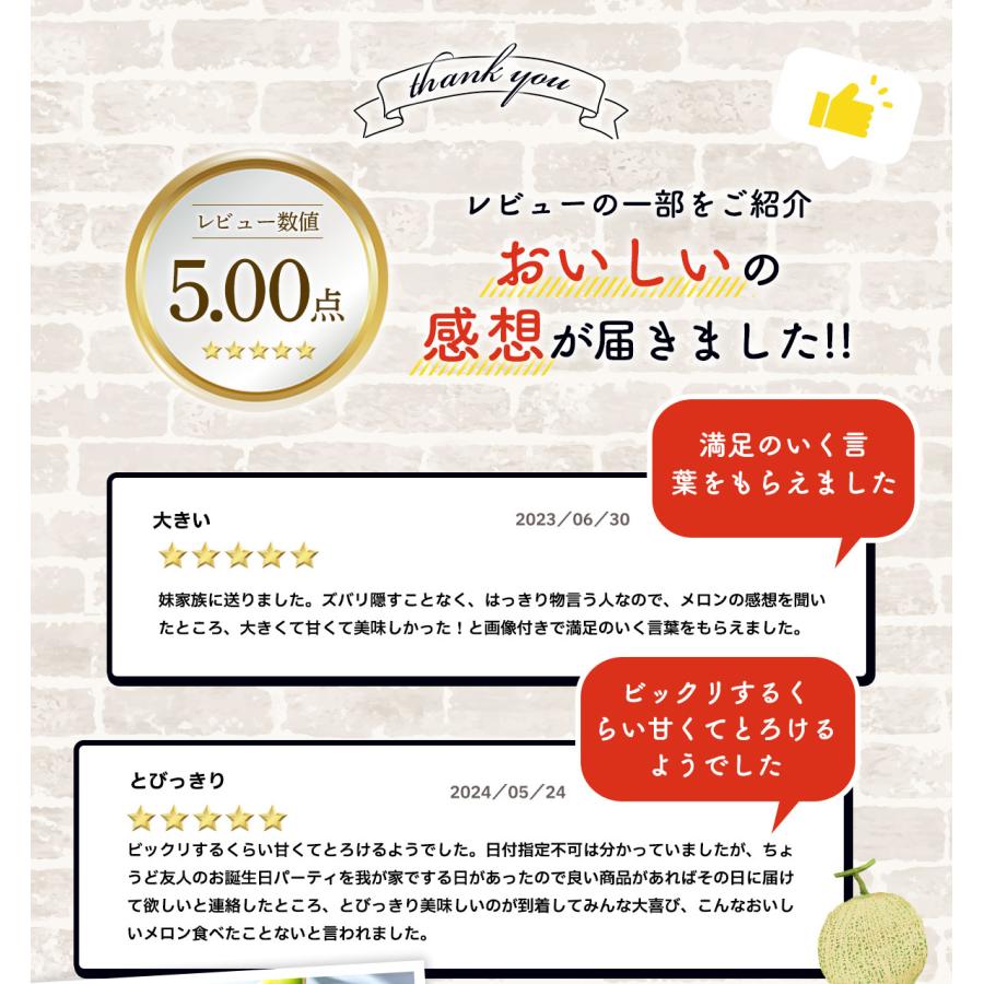 メロン 肥後グリーン 熊本産 秀品 2玉 3L 2024 食べ物 お供え プレゼント ギフト 高級 青肉 お土産 贈り物 贈答 常温便｜kumafuru｜06