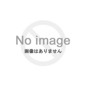 FiiO FW5日本国内正規品ワイヤレスイヤホン ハイブリッドドライバー IPX4 防水 bluetooth AK4332 QCC5141｜naha｜02