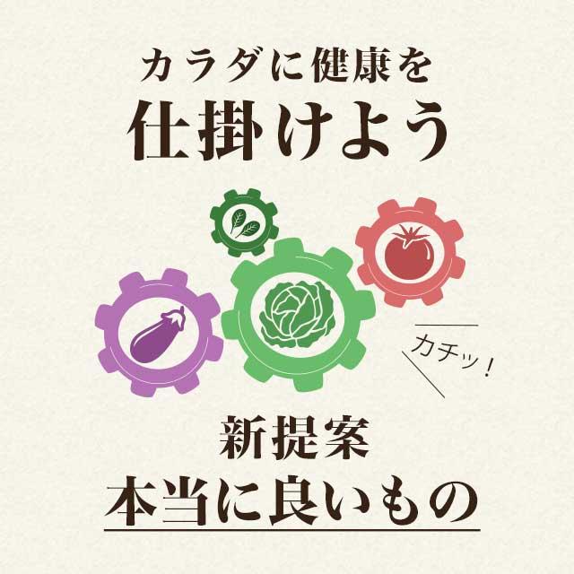 やさい酵素 （約1ヶ月分）サプリメント ダイエット サプリ 酵素 野菜 不足 野草 熟成 海藻 酵母 果物 やさい 難消化性デキストリン｜oga｜08