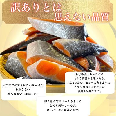 ふるさと納税 鮭 いすみ市 【訳あり】人気の海鮮お礼品 チリ産 定塩 塩銀鮭切り落とし(端材)約3kg｜y-sf｜03