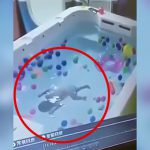 1人でプールで遊んでいた子供が溺れて死んでしまった映像。