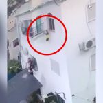 2歳の男の子が3階の窓から転落して死んでしまう映像。