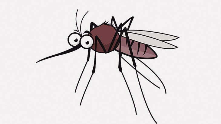 灯りに集まってきた大量の蚊を電撃殺虫ラケットでひたすら殺し続ける男（動画）