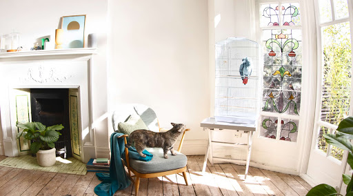 A cat is seen on a chair in a living room, basking in the sun.