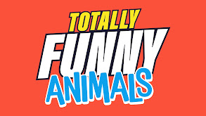 Totally Funny Animals thumbnail