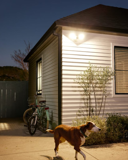 A floodlight illuminates an otherwise dark driveway.