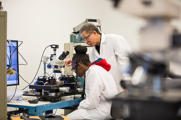 Two people work in a science lab