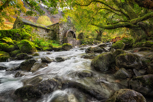 Secluded | by Pete Rowbottom, Wigan, UK