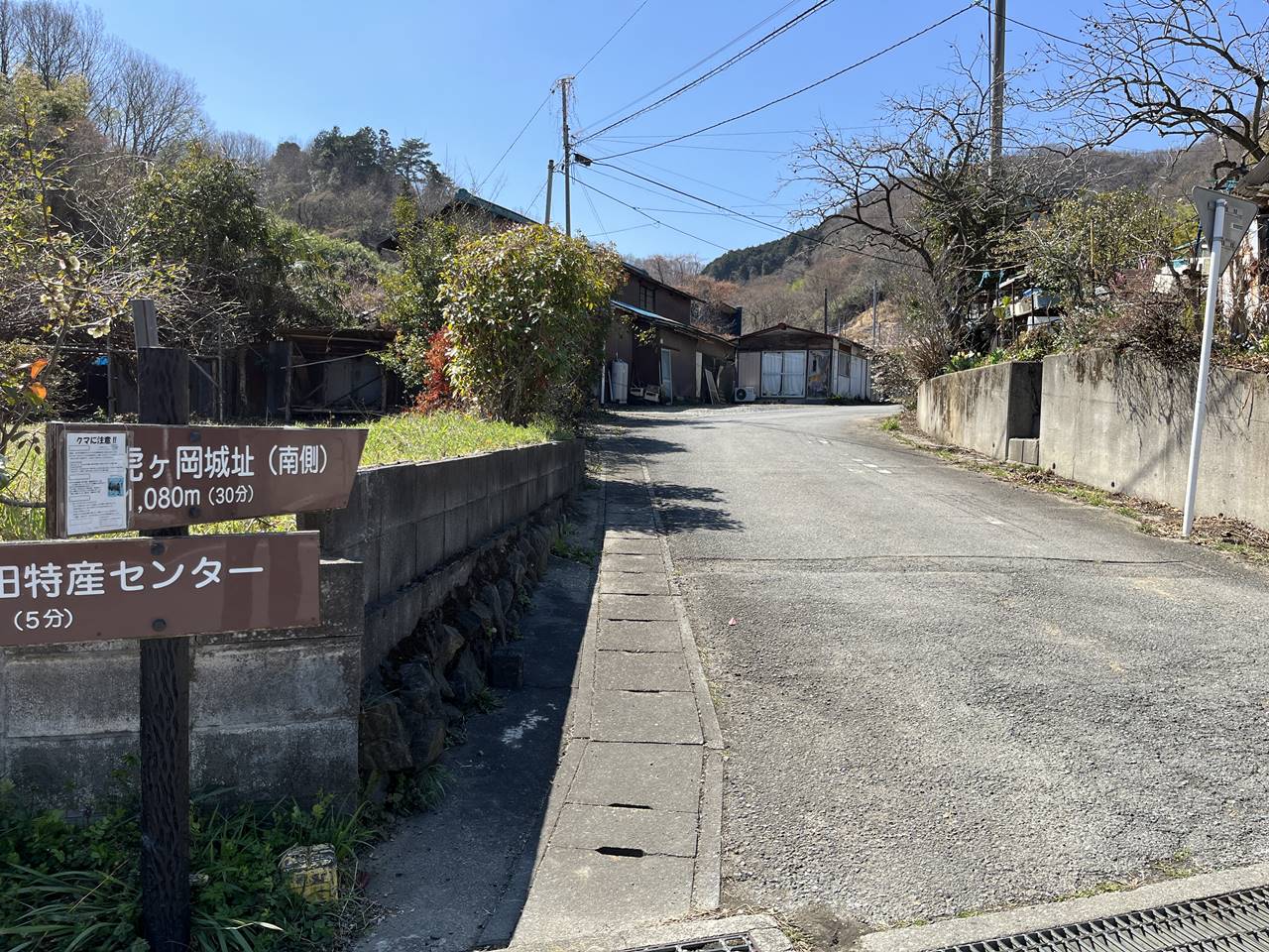 【奥武蔵】鐘撞堂山～虎ヶ岡城址 桜とカタクリ咲く春の登山