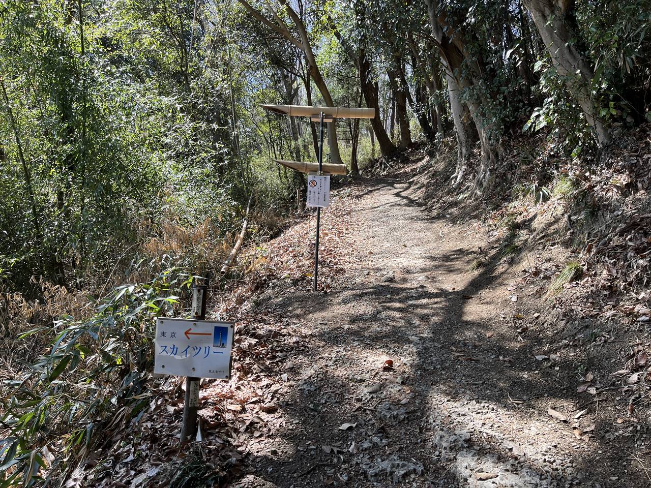 【奥武蔵】鐘撞堂山 スカイツリー展望台