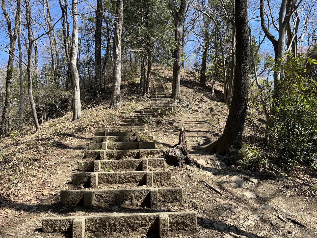 【奥武蔵】鐘撞堂山 桜とカタクリ咲く春の登山