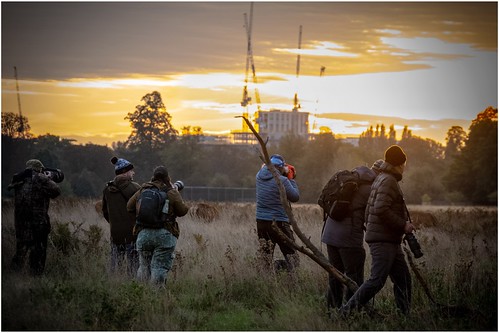 Pack of Photographers in the Wild … | by marc.barrot