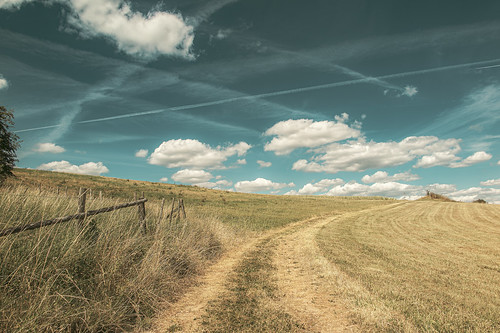 Sommer | by Uwe Rothuysen