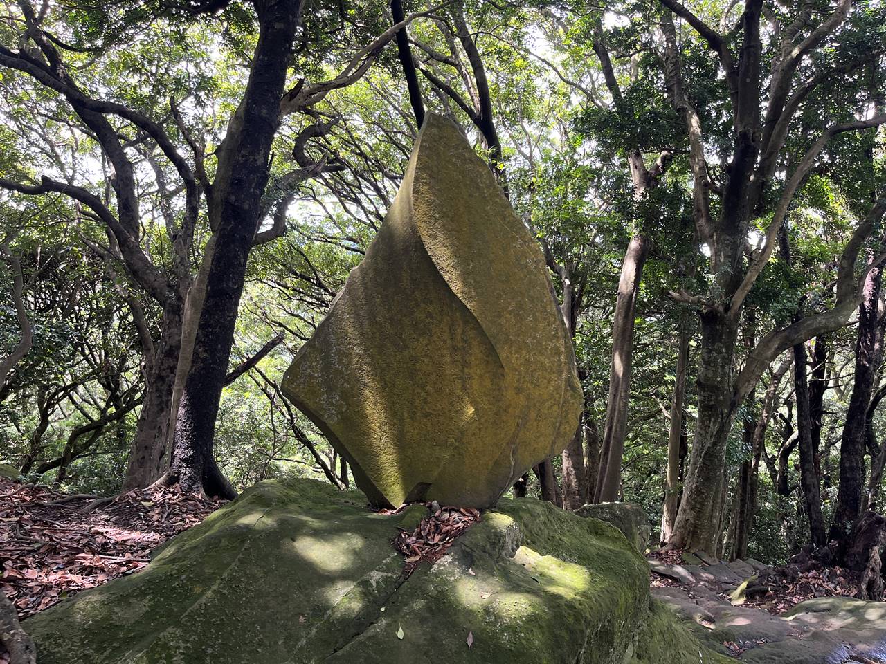 【三浦半島】鷹取山 巨大な岩壁と海の展望！駅からハイキング