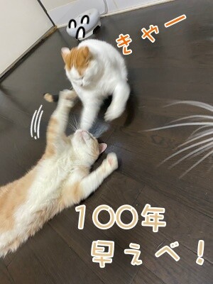 みんな1005