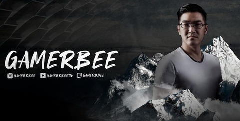 gamerbee