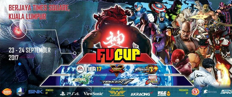 fv-cup-2017