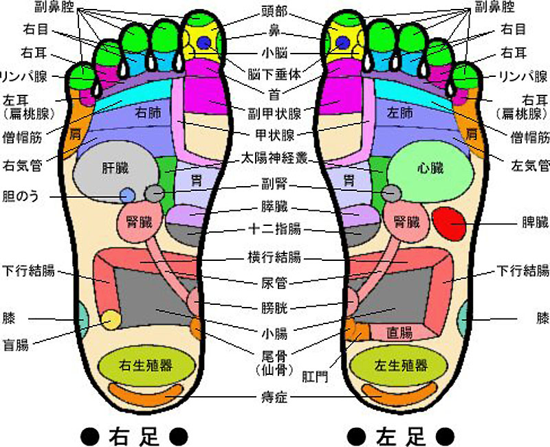 足の裏(拡大表示)