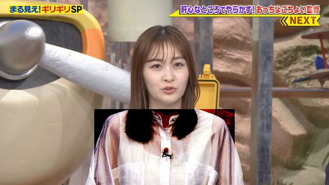 岩田絵里奈 世界まる見え！テレビ特捜部 14