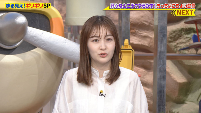 岩田絵里奈 世界まる見え！テレビ特捜部 5