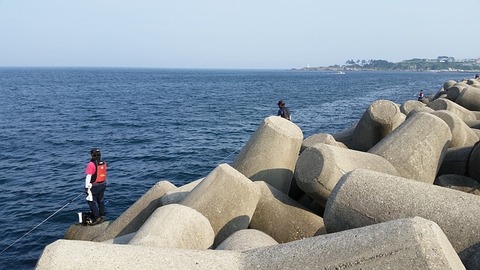 yangpu-breakwater-401548_640